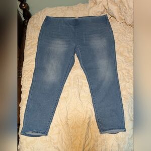 Soft Surroundings Blue Women's Jeggings